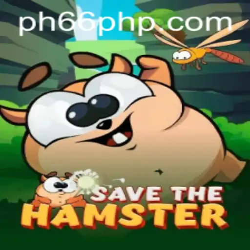 Discover the Adventurous World of SavetheHamster: An Insightful Guide